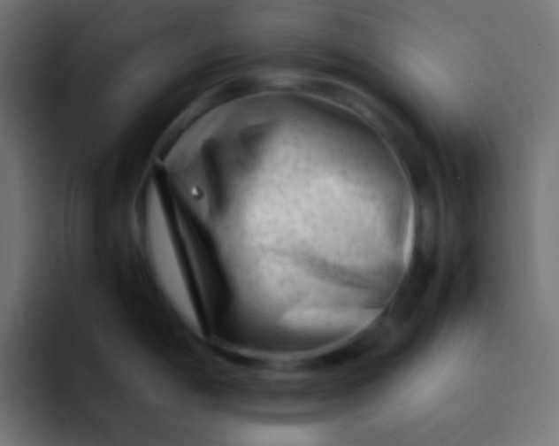 X0000092091198200710031149