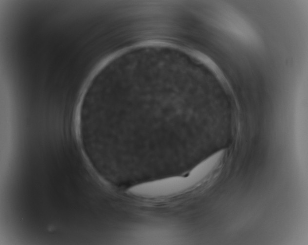 X0000092091199200710031148