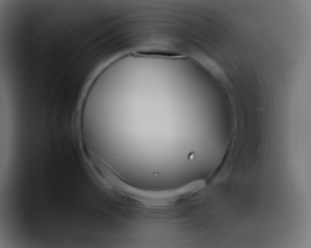 X0000092091200200710031148
