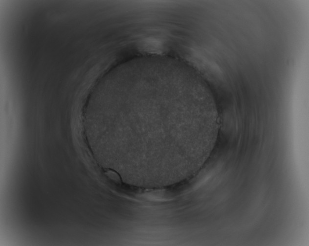 X0000092091201200710031148