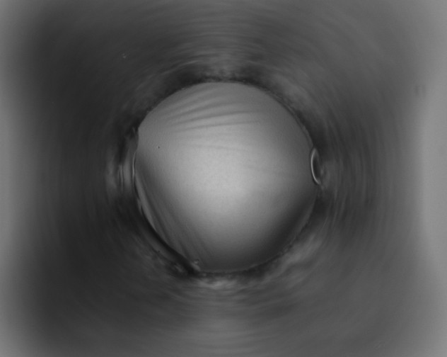 X0000092091202200710031148