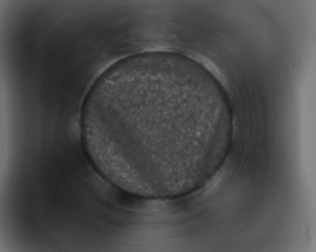 X0000092091212200710031148