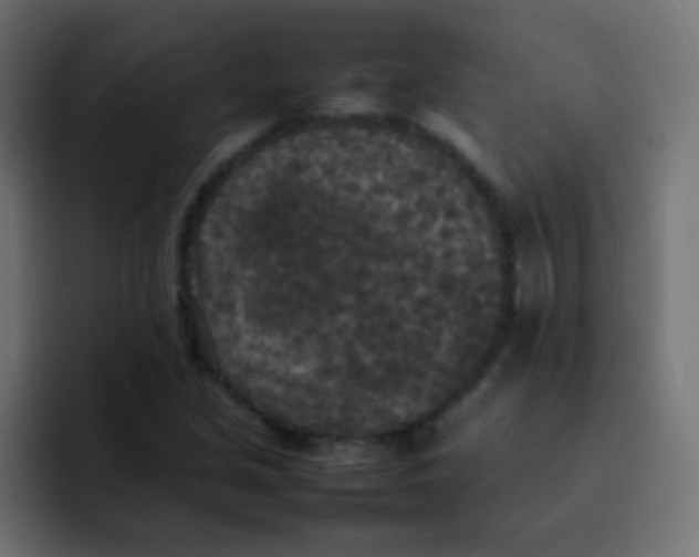 X0000092091213200710031148
