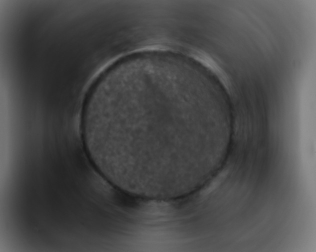 X0000092091216200710031148