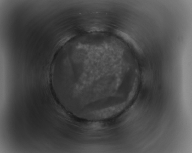 X0000092091217200710031148