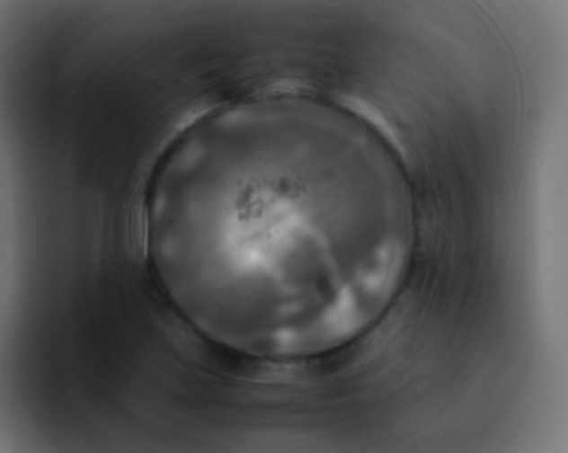 X0000092091219200710031148