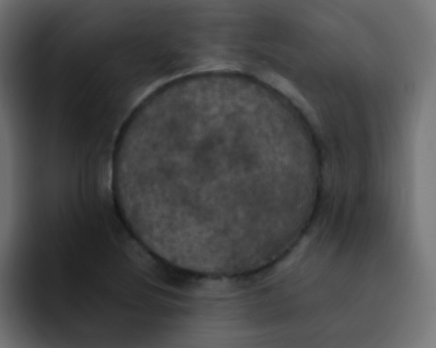 X0000092091220200710031148