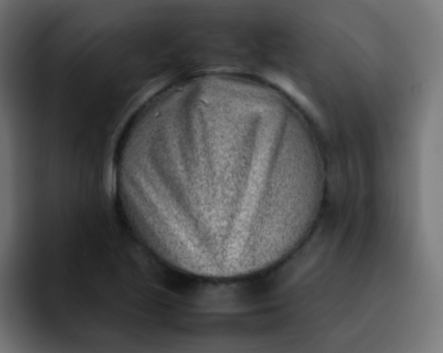 X0000092091221200710031148