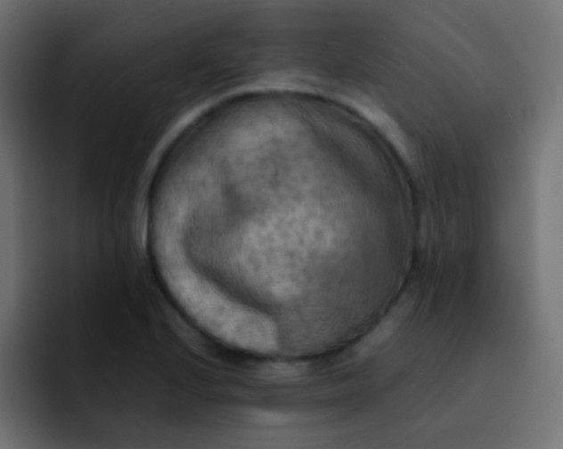 X0000092091224200710031148