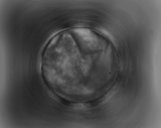 X0000092091227200710031148