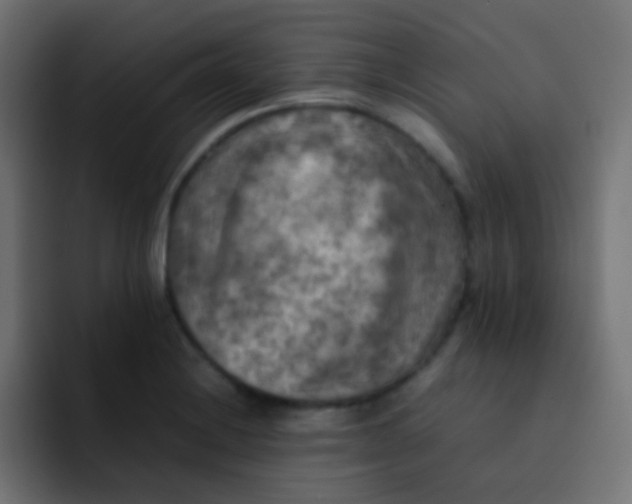 X0000092091228200710031148