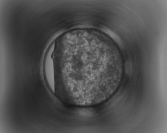 X0000092091229200710031148
