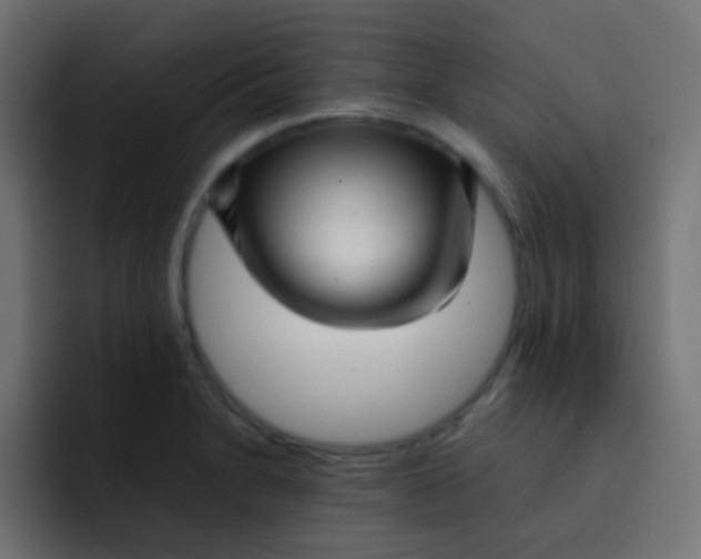 X0000092091230200710031148