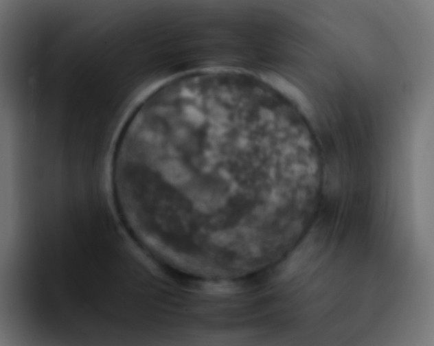 X0000092091231200710031148