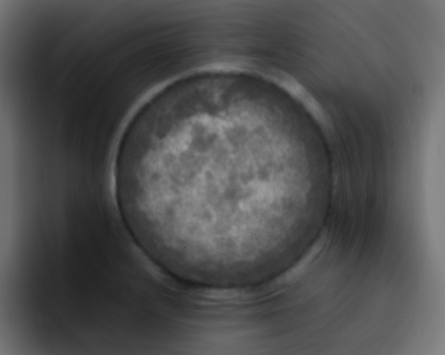 X0000092091232200710031148