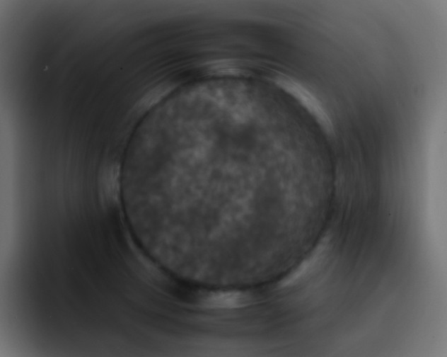 X0000092091233200710031148