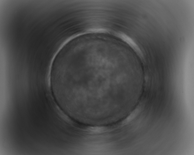 X0000092091236200710031148