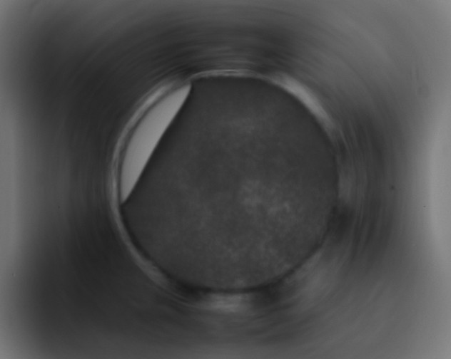 X0000092091237200710031148