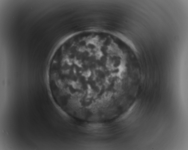 X0000092091239200710031148