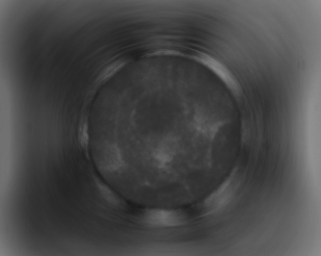 X0000092091241200710031148