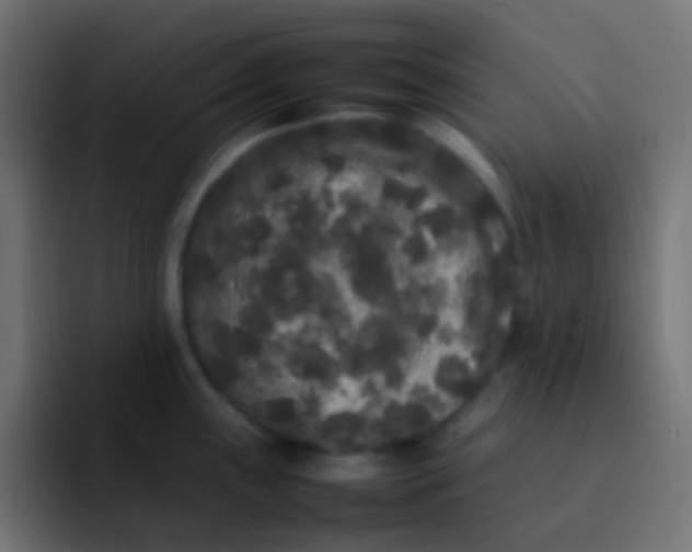 X0000092091243200710031148