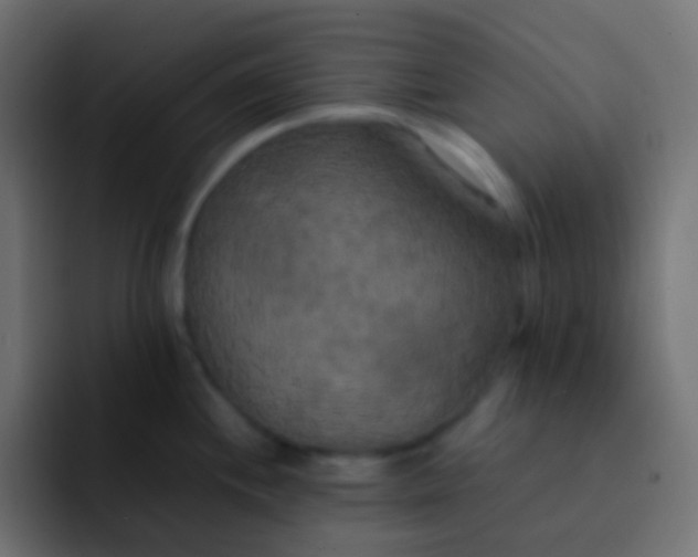 X0000092091244200710031148