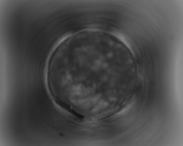 X0000092091245200710031148