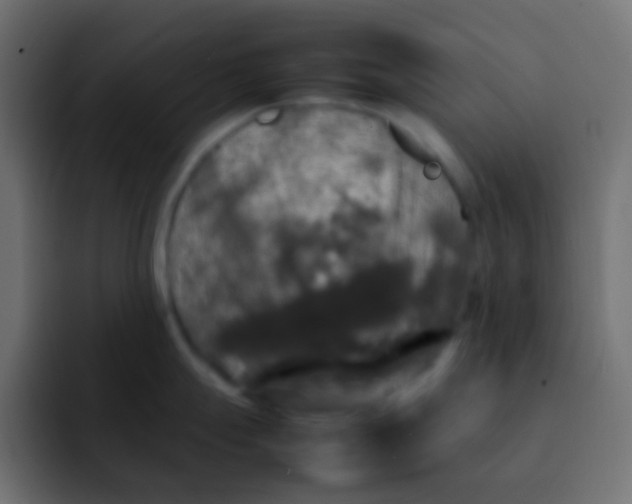 X0000092091247200710031148