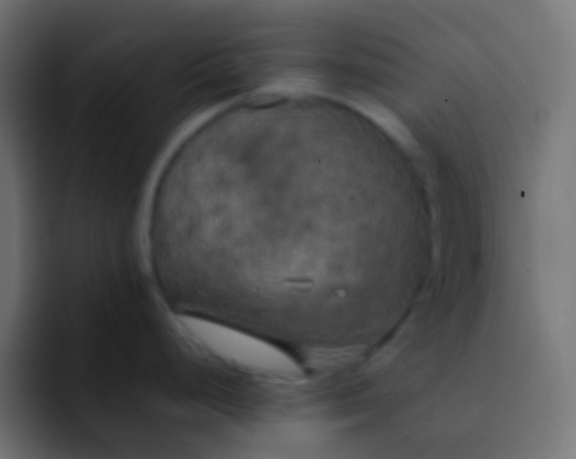 X0000092091248200710031148