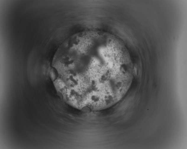 X0000092091251200710031148