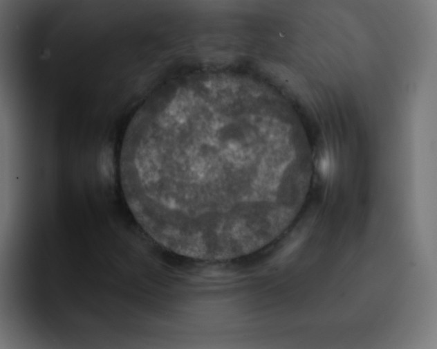 X0000092091252200710031148
