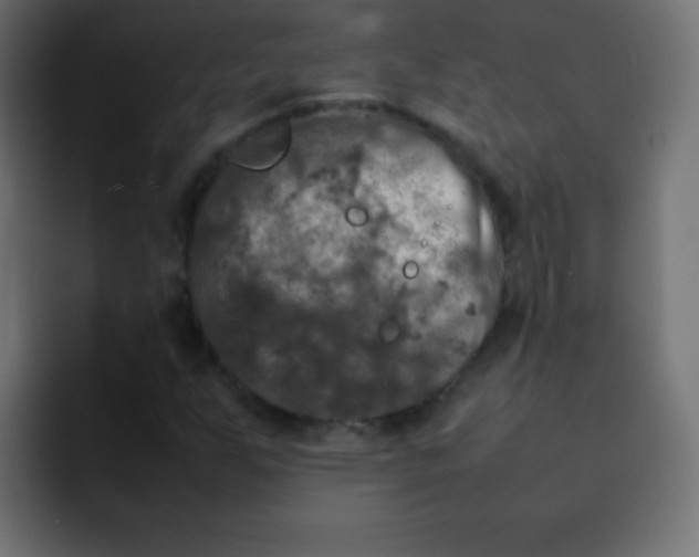 X0000092091255200710031148