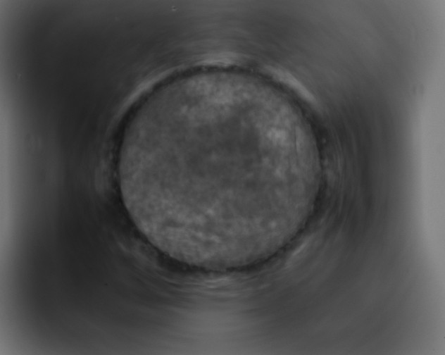 X0000092091256200710031148