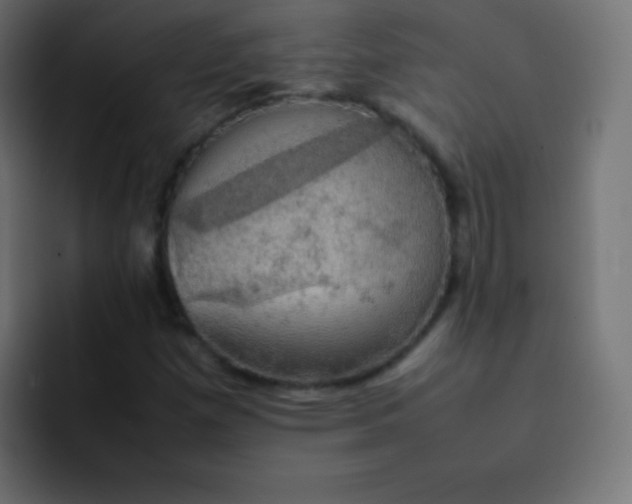 X0000092091257200710031148