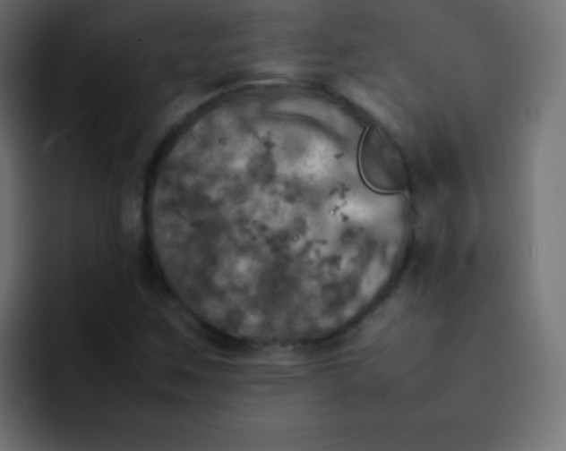 X0000092091259200710031148