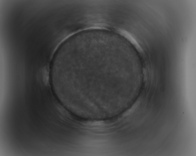 X0000092091260200710031148
