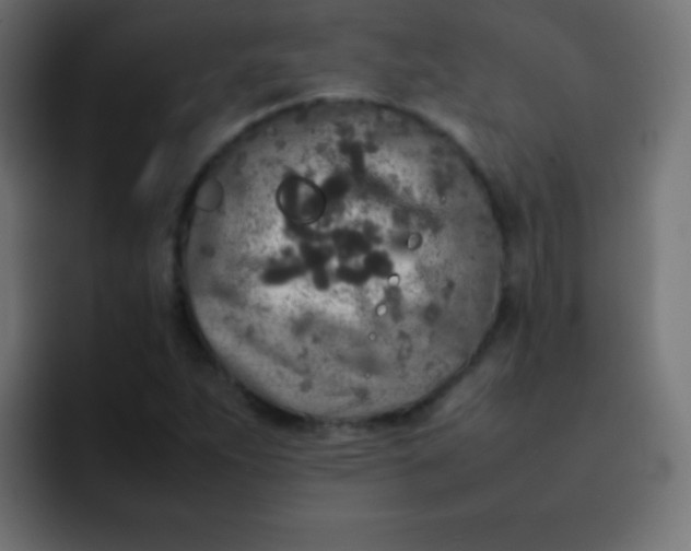 X0000092091263200710031148
