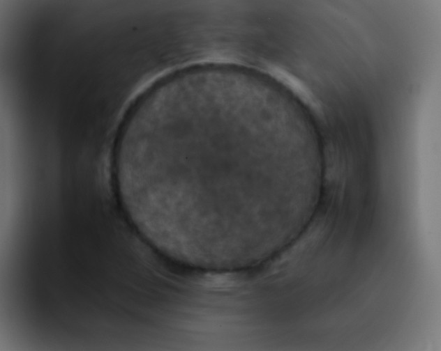 X0000092091264200710031148