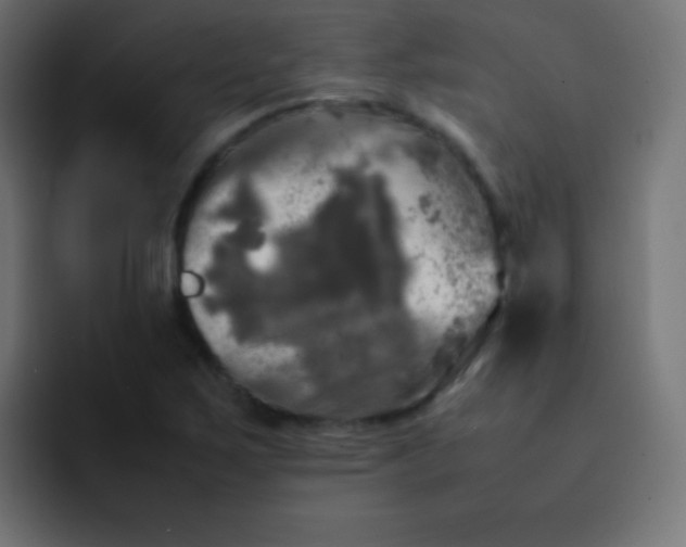 X0000092091267200710031148