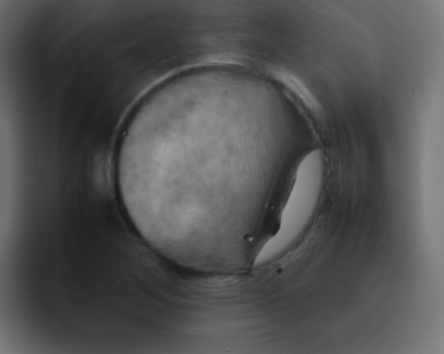 X0000092091268200710031148