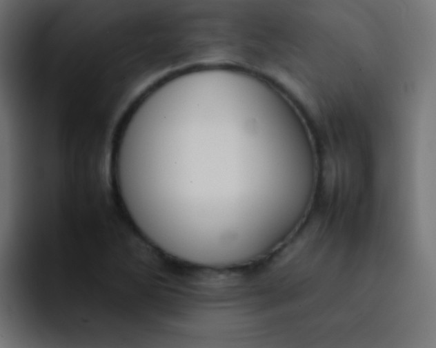 X0000092091270200710031148
