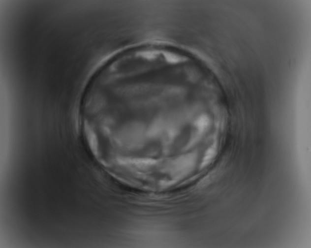 X0000092091271200710031148