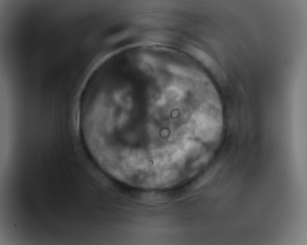 X0000092091275200710031148