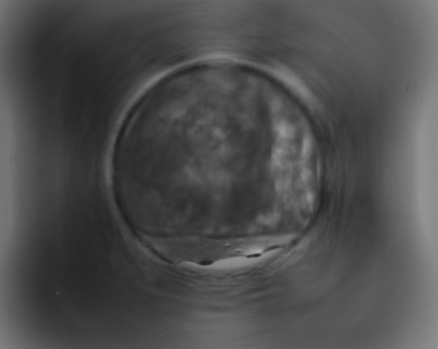 X0000092091279200710031148