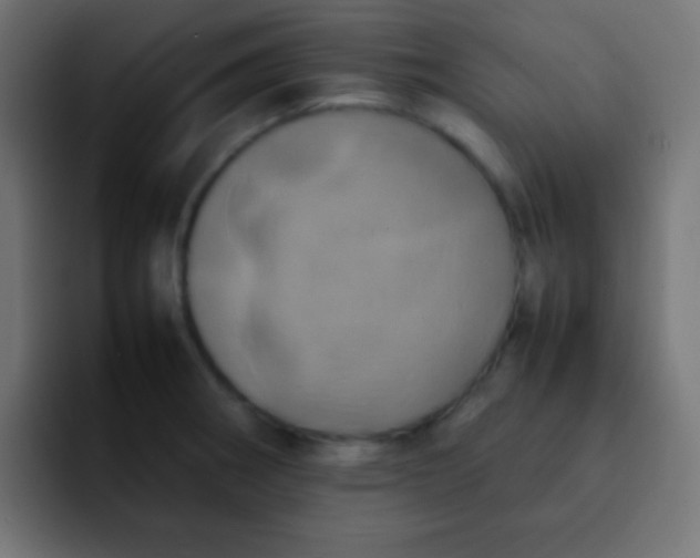 X0000092091282200710031148