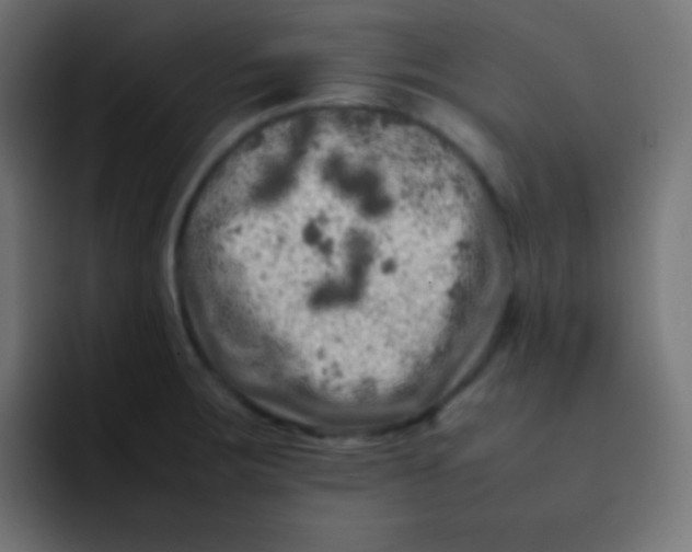 X0000092091283200710031148