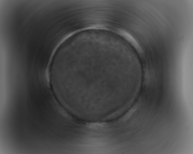 X0000092091284200710031148