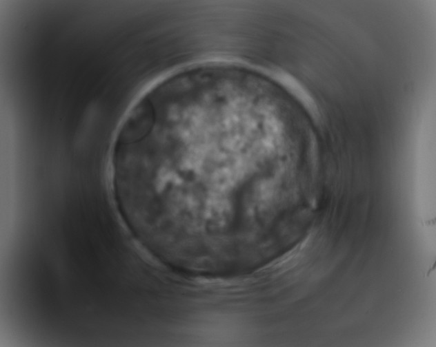 X0000092091287200710031147