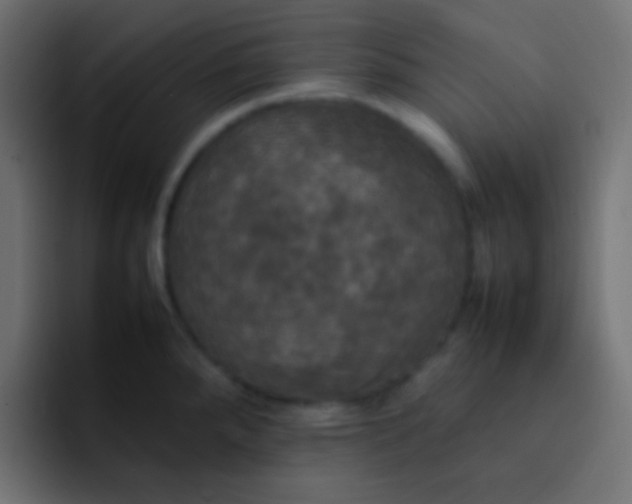 X0000092091288200710031147