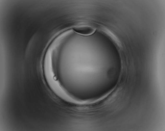 X0000092091291200710031147